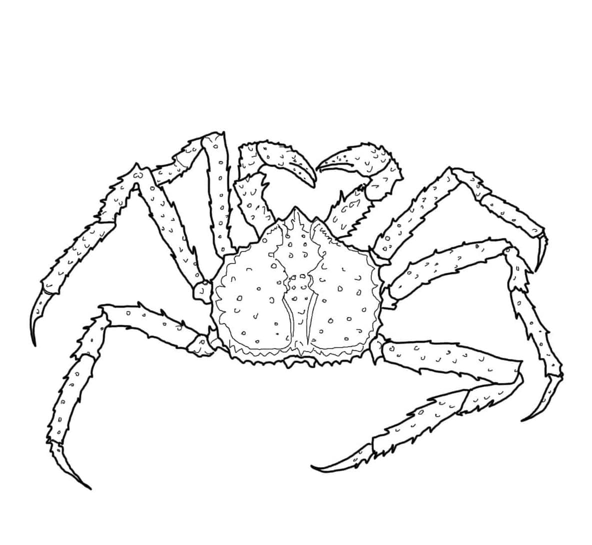 Coloriage gratuit Crabe #199419 de la collection Animaux à imprimer