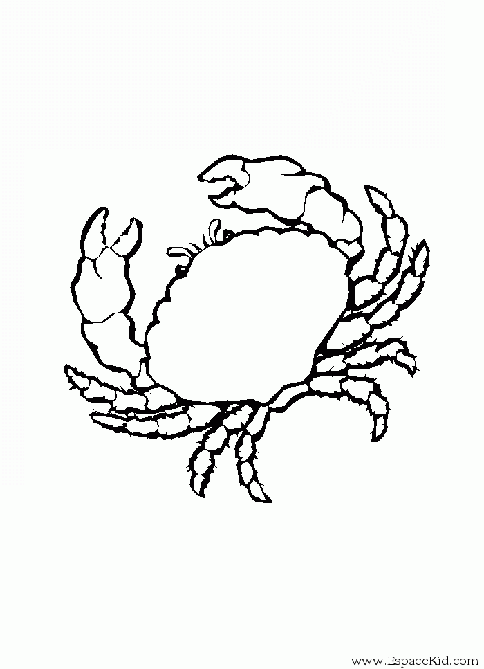Dessin à colorier: Crabe (Animaux) #4605 - Coloriages à Imprimer Gratuits