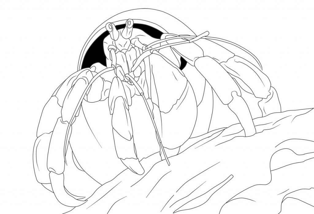 Dessin à colorier: Crabe (Animaux) #4623 - Coloriages à Imprimer Gratuits