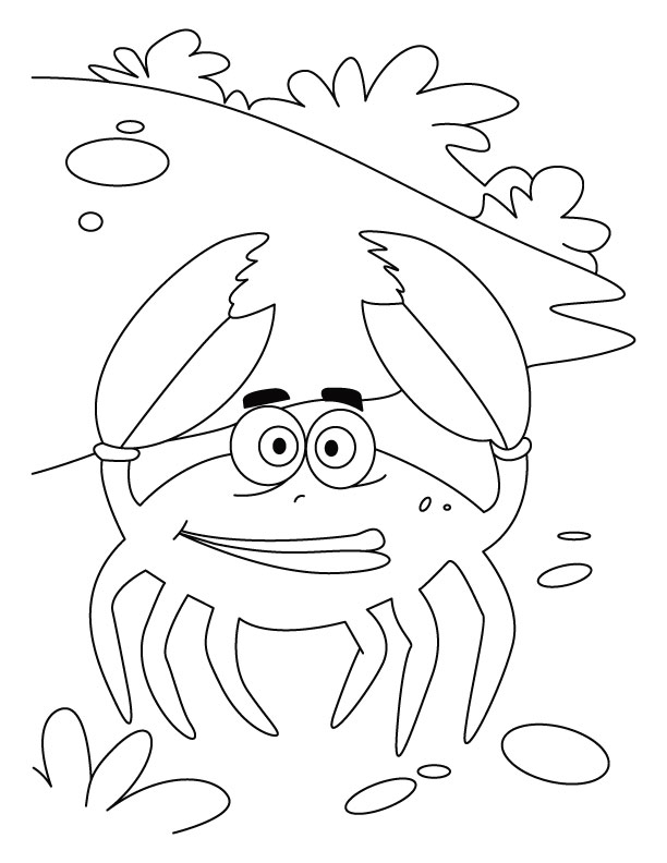 Dessin à colorier: Crabe (Animaux) #4690 - Coloriages à Imprimer Gratuits