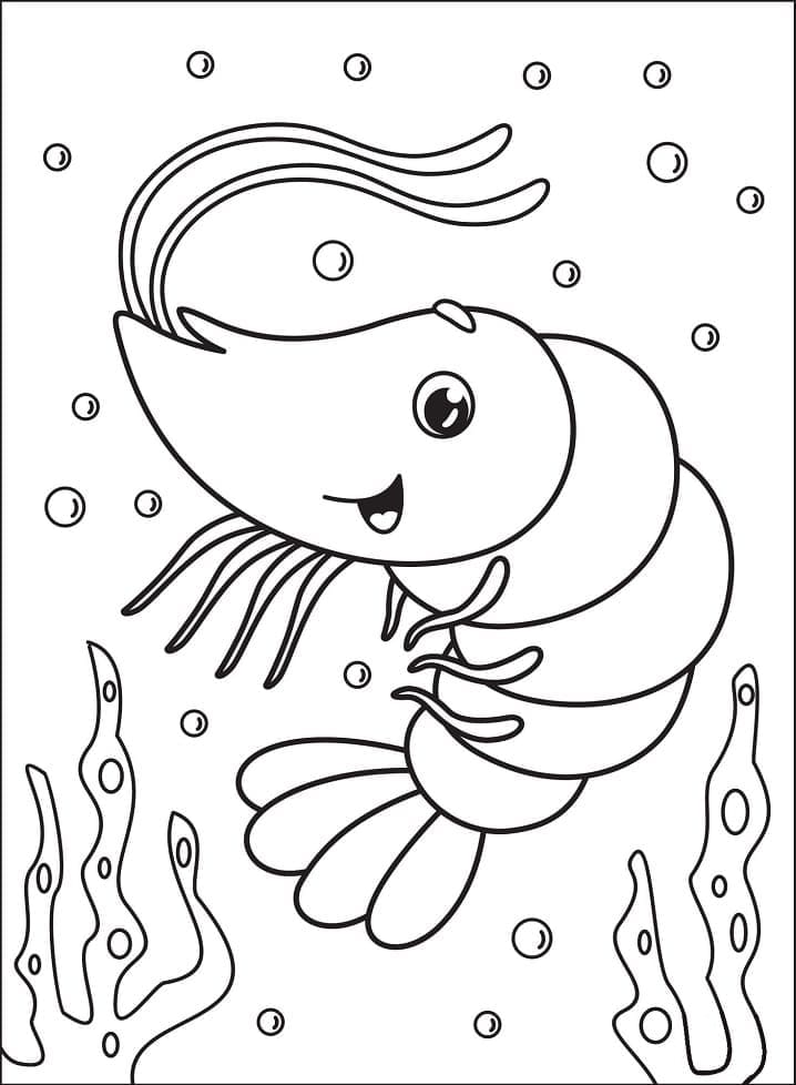 Coloriage gratuit Crevette #208542 de la collection Animaux à imprimer