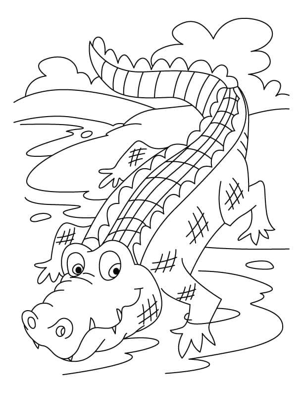 Coloriage gratuit Crocodile #179016 de la collection Animaux à imprimer