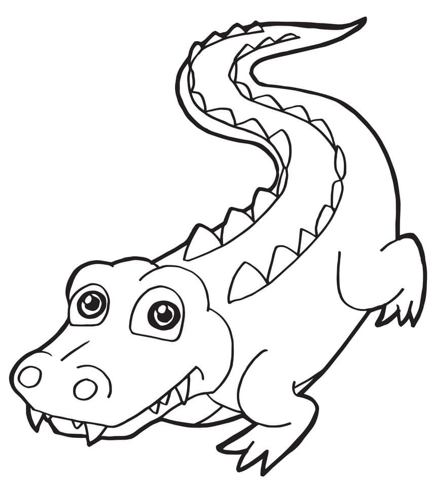 Joli coloriage Crocodile #179024 de la collection Animaux, prêt à imprimer pour petits et grands
