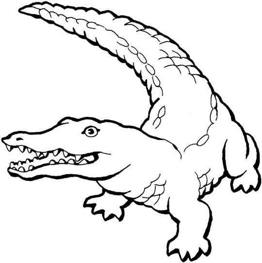 Dessin à colorier: Crocodile (Animaux) #4793 - Coloriages à Imprimer Gratuits