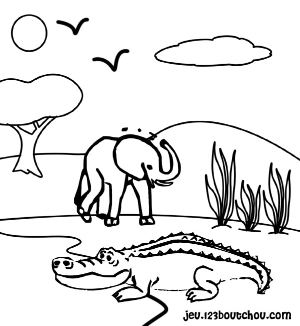 Dessin à colorier: Crocodile (Animaux) #4796 - Coloriages à Imprimer Gratuits