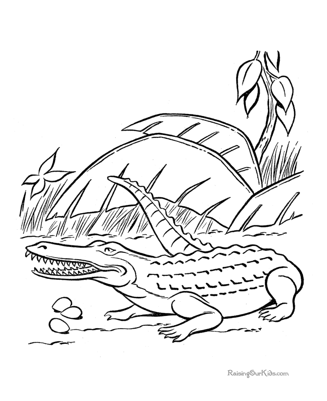 Dessin Crocodile #4827 (Animaux) à colorier – Coloriages à imprimer
