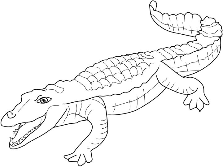 Dessin à colorier: Crocodile (Animaux) #4829 - Coloriages à Imprimer Gratuits