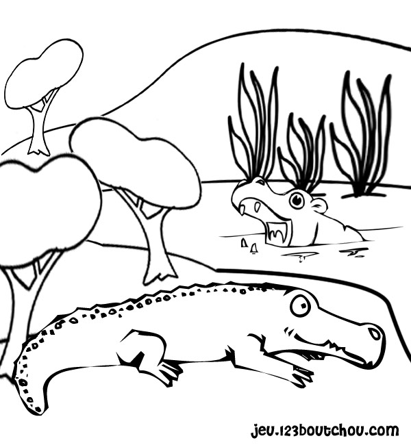 Dessin à colorier: Crocodile (Animaux) #4837 - Coloriages à Imprimer Gratuits