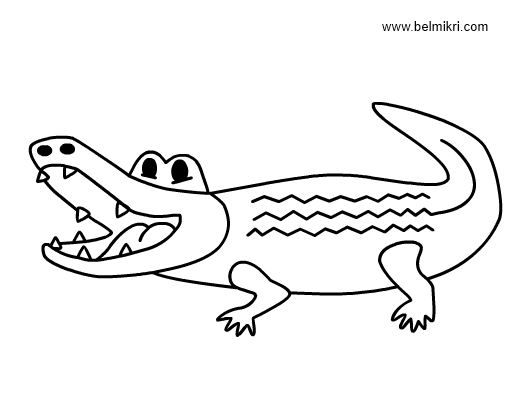 Dessin à colorier: Crocodile (Animaux) #4845 - Coloriages à Imprimer Gratuits