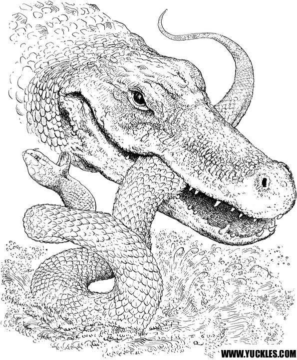 Dessin à colorier: Crocodile (Animaux) #4854 - Coloriages à Imprimer Gratuits