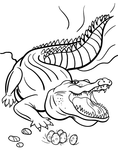 Dessin Crocodile #4861 (Animaux) à colorier – Coloriages à imprimer