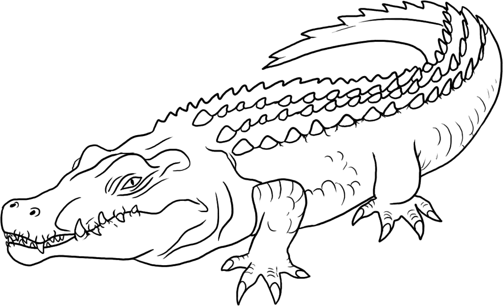 Dessin à colorier: Crocodile (Animaux) #4890 - Coloriages à Imprimer Gratuits