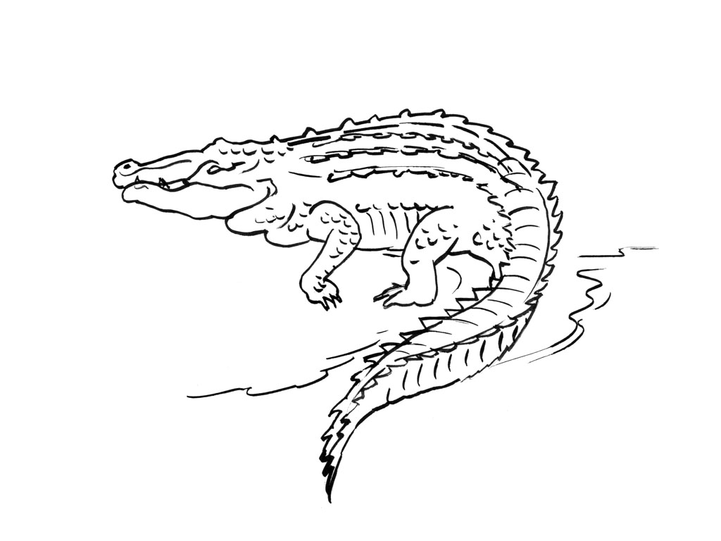 Dessin à colorier: Crocodile (Animaux) #4909 - Coloriages à Imprimer Gratuits