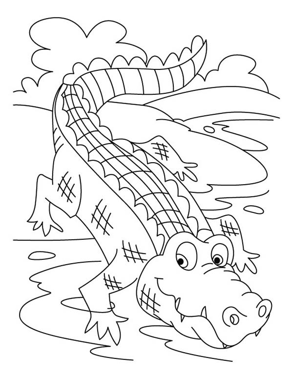 Dessin à colorier: Crocodile (Animaux) #4924 - Coloriages à Imprimer Gratuits