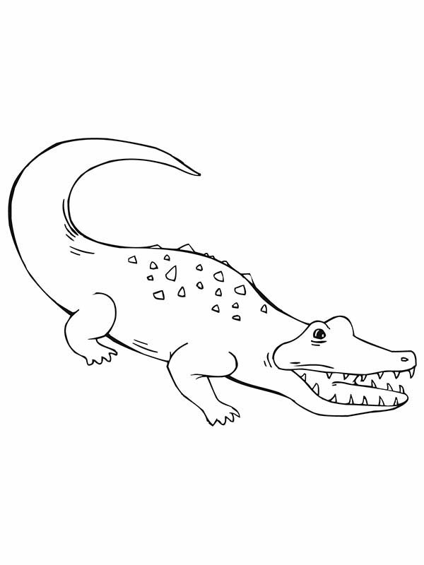 Dessin à colorier: Crocodile (Animaux) #4961 - Coloriages à Imprimer Gratuits