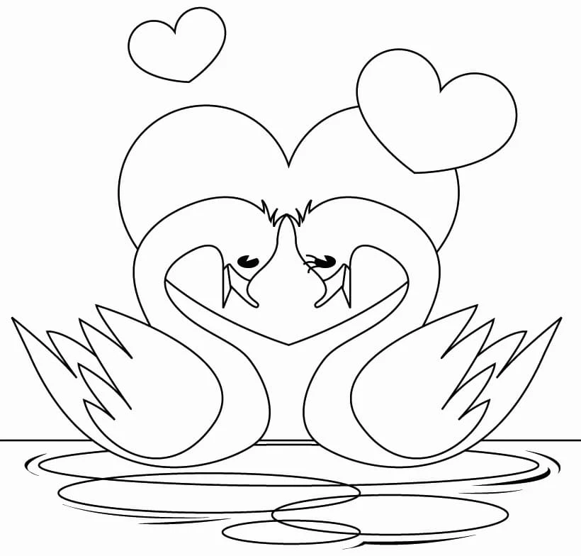 Coloriage Cygne couple formant un cœur avec leurs cous