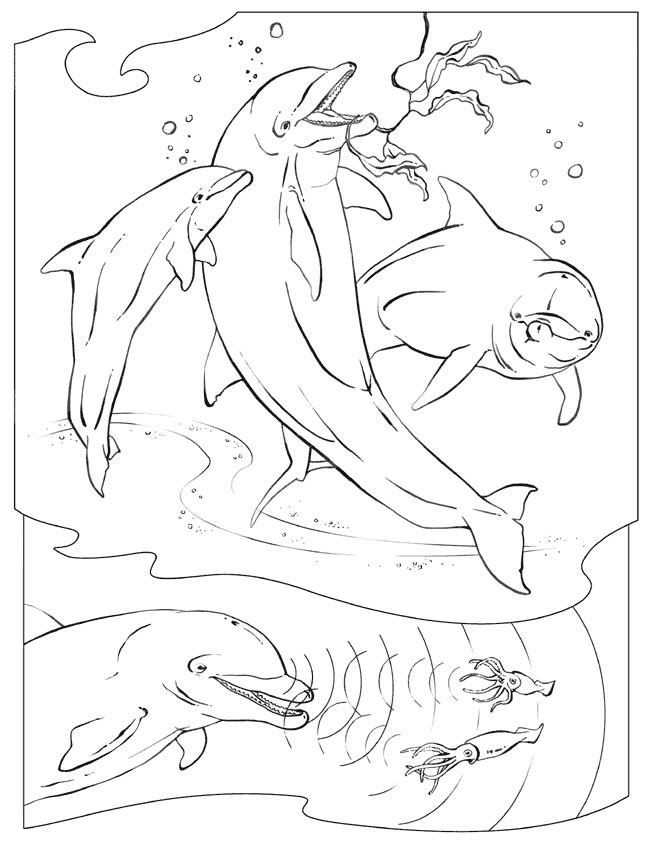 Dessin à colorier: Dauphin (Animaux) #5121 - Coloriages à Imprimer Gratuits