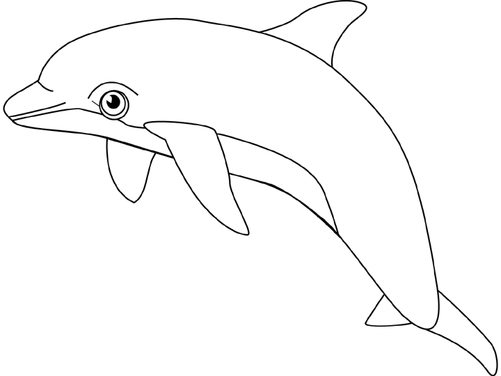 Dessin à colorier: Dauphin (Animaux) #5206 - Coloriages à Imprimer Gratuits