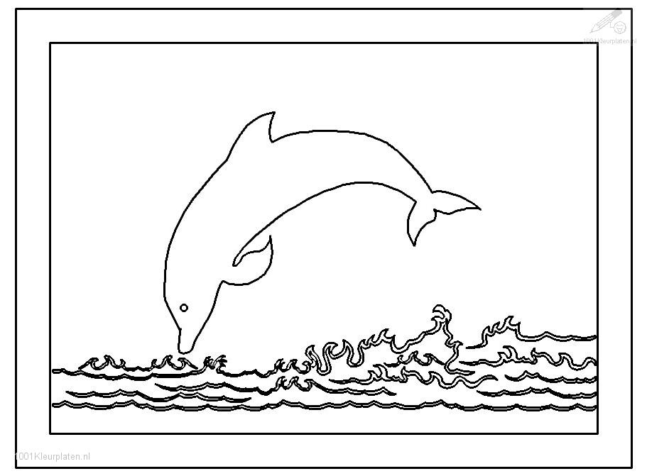 Dessin à colorier: Dauphin (Animaux) #5208 - Coloriages à Imprimer Gratuits