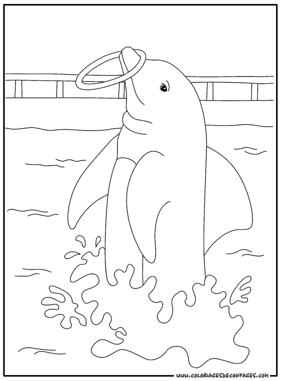 Dessin à colorier: Dauphin (Animaux) #5281 - Coloriages à Imprimer Gratuits