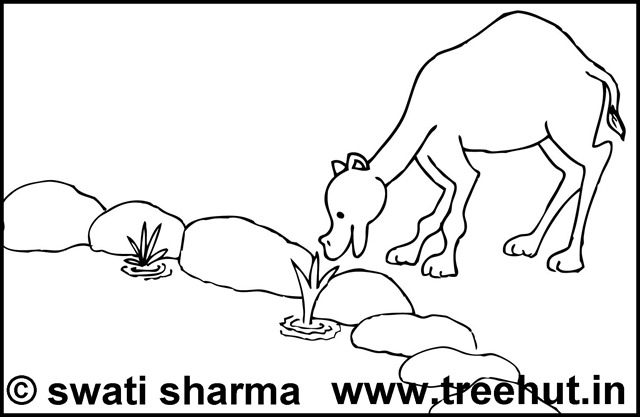 Dessin à colorier: Dromadaire (Animaux) #6013 - Coloriages à Imprimer Gratuits