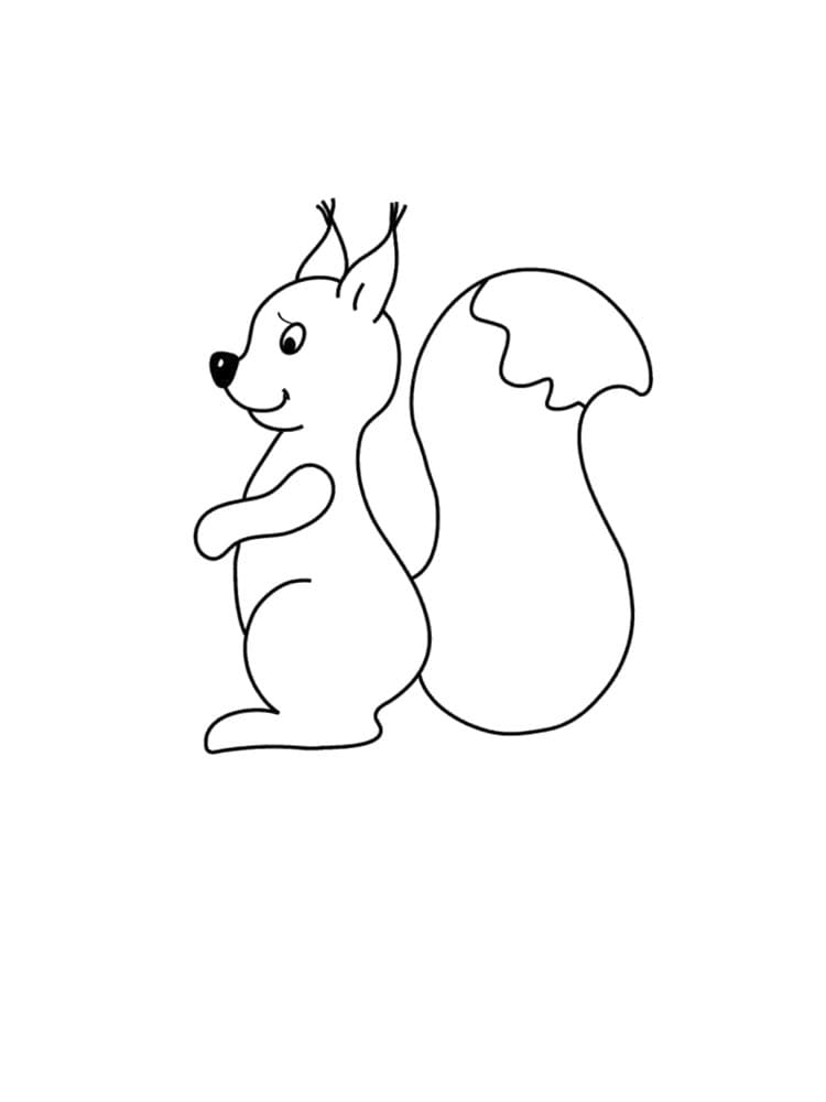 Coloriage gratuit Écureuil #177480 de la collection Animaux à imprimer