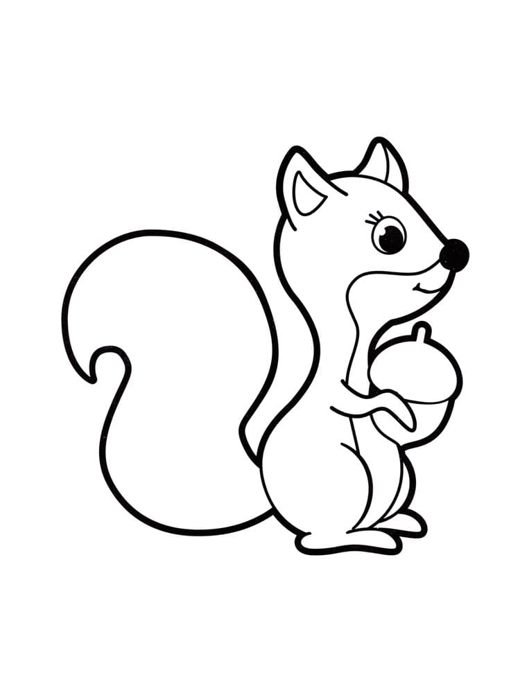 Coloriage gratuit Écureuil #177484 de la collection Animaux à imprimer
