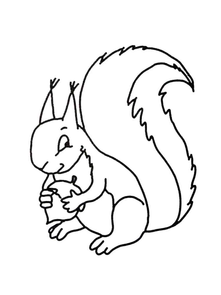 Coloriage Écureuil #177485 à imprimer gratuitement, extrait de la collection Animaux