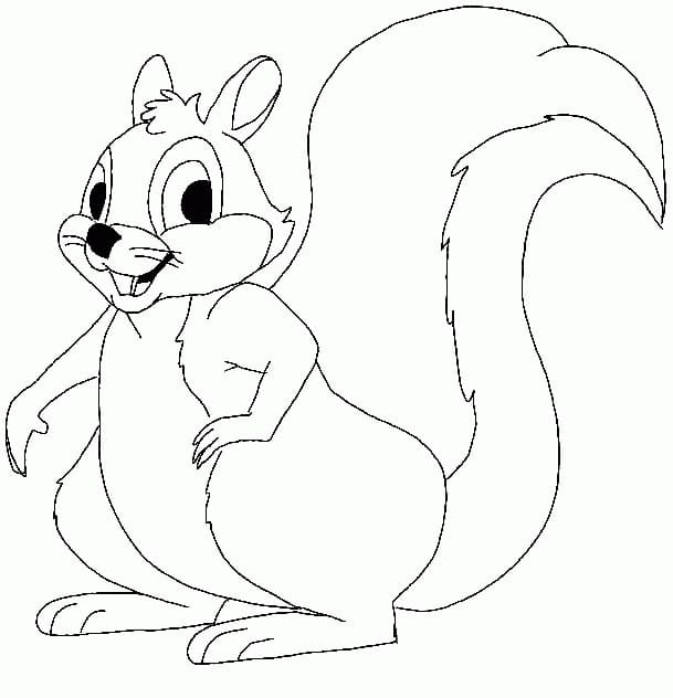 Coloriage gratuit Écureuil #216963 de la collection Animaux à imprimer