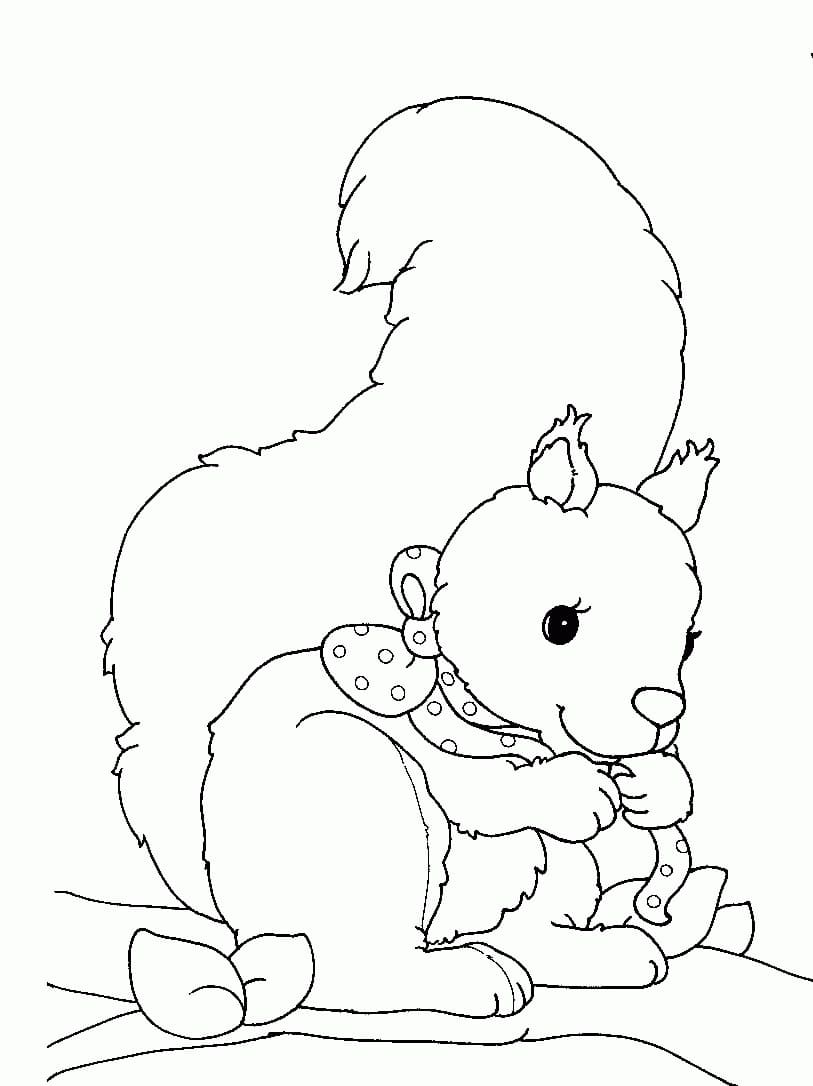 Coloriage imprimable Écureuil #216967 de la collection Animaux à colorier aux crayons