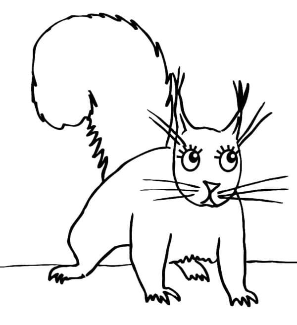 Illustration au trait Écureuil #216971 de la collection Animaux à colorier gratuitement