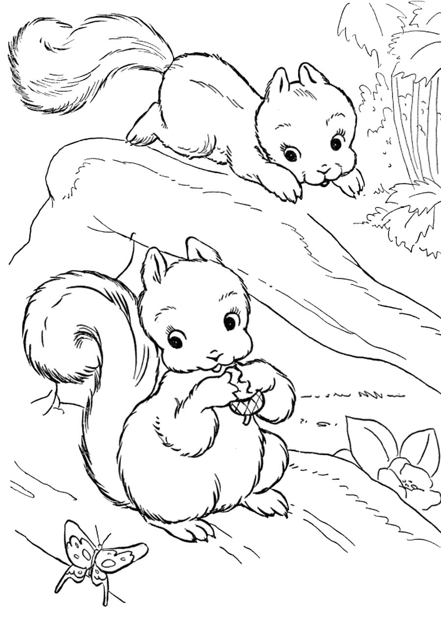 Coloriage gratuit pour enfants et adultes Écureuil #216974, collection Animaux