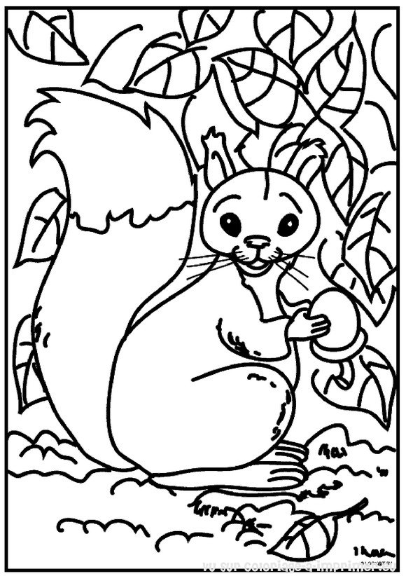 Dessin à colorier: Écureuil (Animaux) #6100 - Coloriages à Imprimer Gratuits