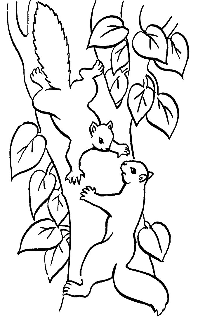 Dessin à colorier: Écureuil (Animaux) #6104 - Coloriages à Imprimer Gratuits