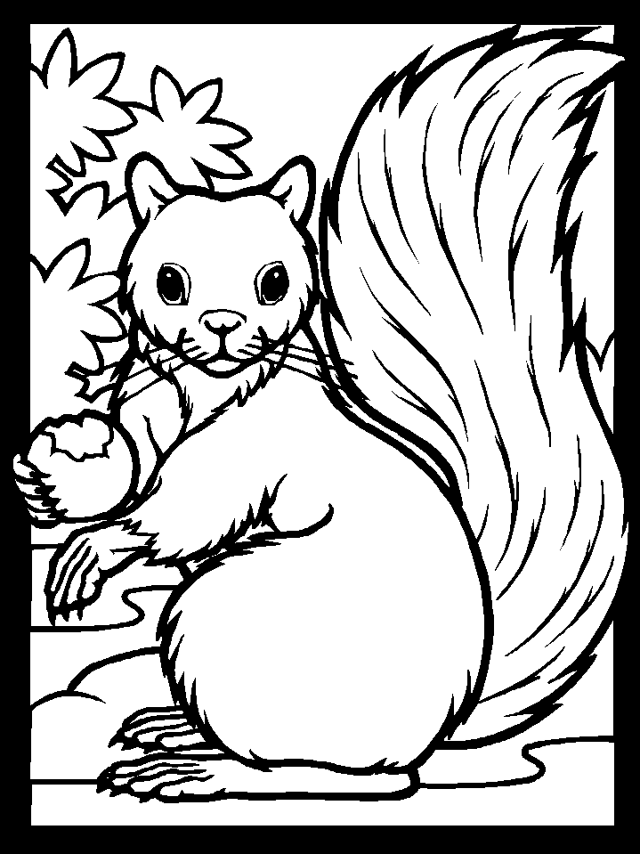 Dessin à colorier: Écureuil (Animaux) #6108 - Coloriages à Imprimer Gratuits