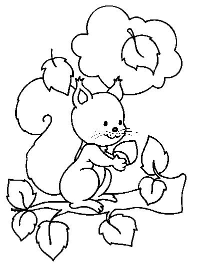 Dessin à colorier: Écureuil (Animaux) #6116 - Coloriages à Imprimer Gratuits