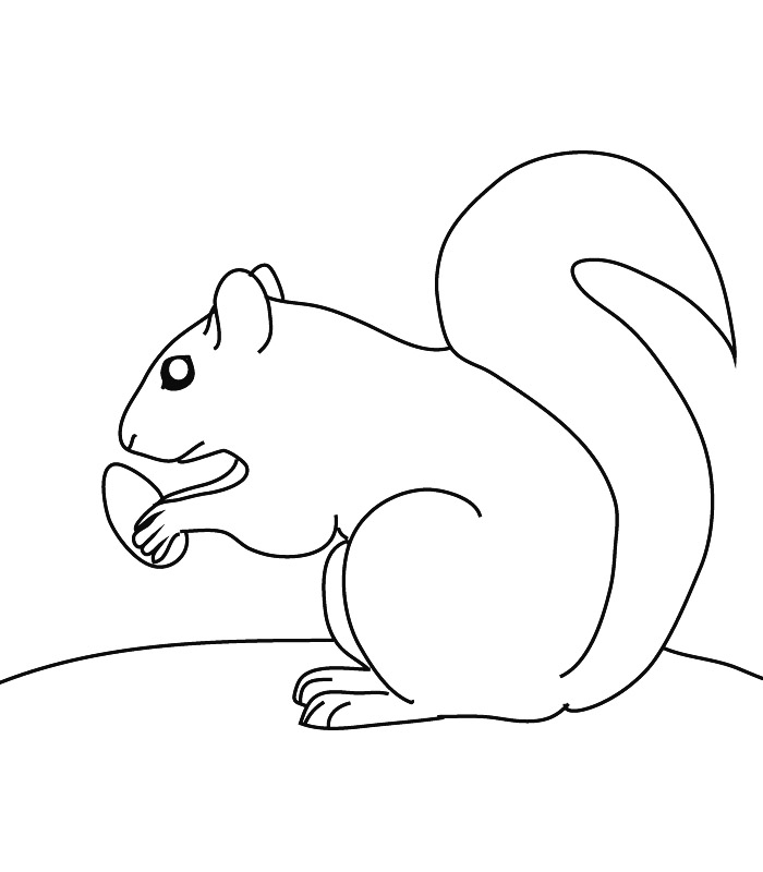 Dessin à colorier: Écureuil (Animaux) #6132 - Coloriages à Imprimer Gratuits