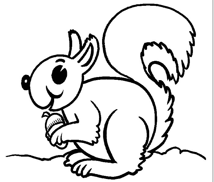Dessin à colorier: Écureuil (Animaux) #6138 - Coloriages à Imprimer Gratuits