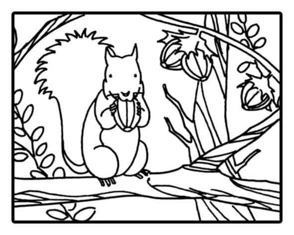 Dessin à colorier: Écureuil (Animaux) #6159 - Coloriages à Imprimer Gratuits