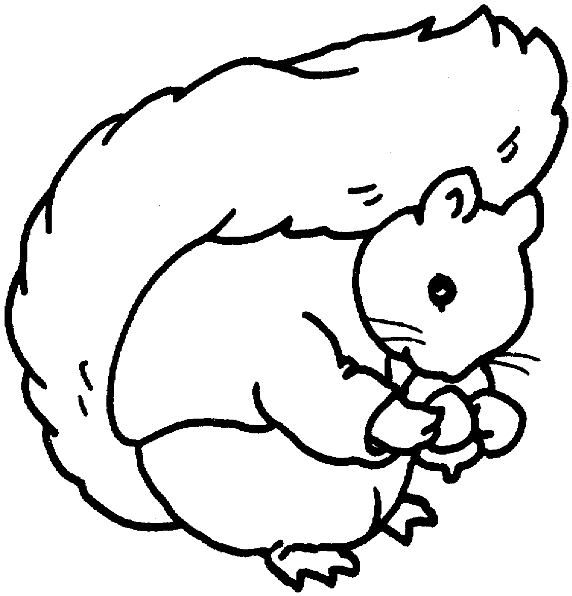 Dessin à colorier: Écureuil (Animaux) #6166 - Coloriages à Imprimer Gratuits