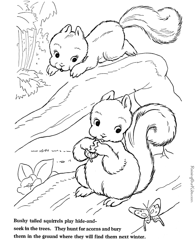 Dessin à colorier: Écureuil (Animaux) #6191 - Coloriages à Imprimer Gratuits