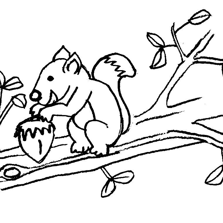 Dessin à colorier: Écureuil (Animaux) #6194 - Coloriages à Imprimer Gratuits