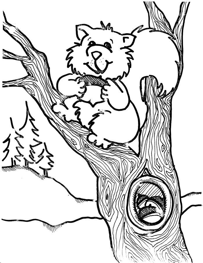 Dessin à colorier: Écureuil (Animaux) #6204 - Coloriages à Imprimer Gratuits