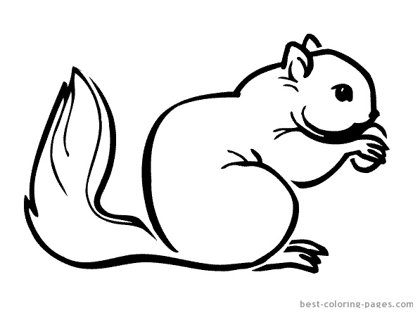 Dessin à colorier: Écureuil (Animaux) #6240 - Coloriages à imprimer