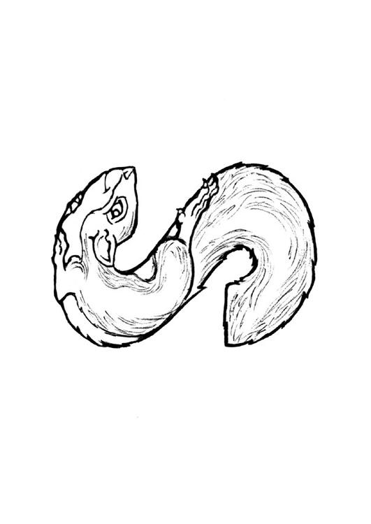 Dessin à colorier: Écureuil (Animaux) #6241 - Coloriages à Imprimer Gratuits