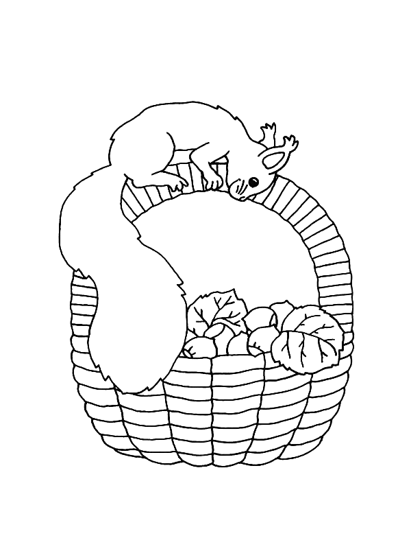 Dessin à colorier: Écureuil (Animaux) #6243 - Coloriages à Imprimer Gratuits