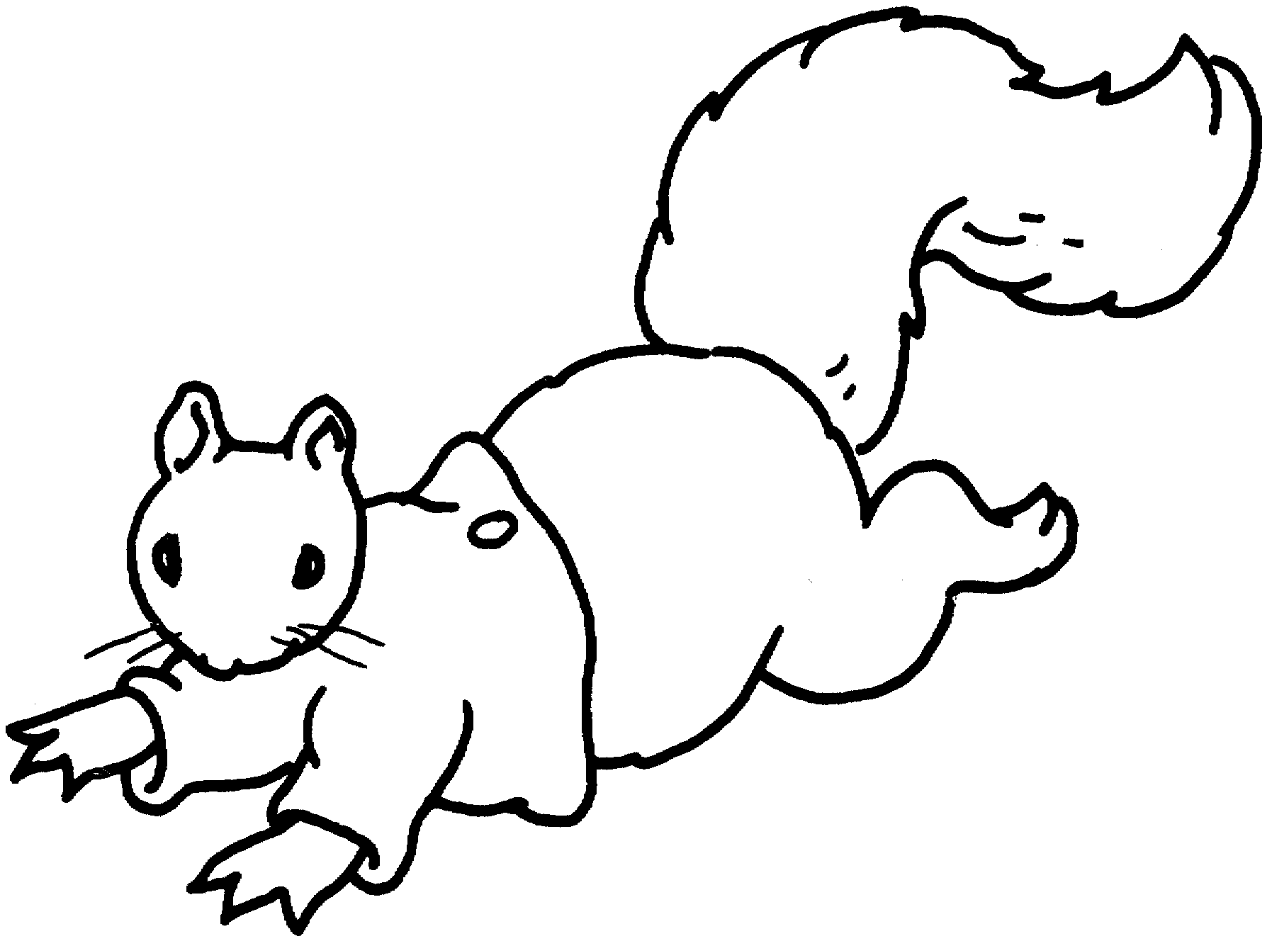 Dessin à colorier: Écureuil (Animaux) #6246 - Coloriages à Imprimer Gratuits