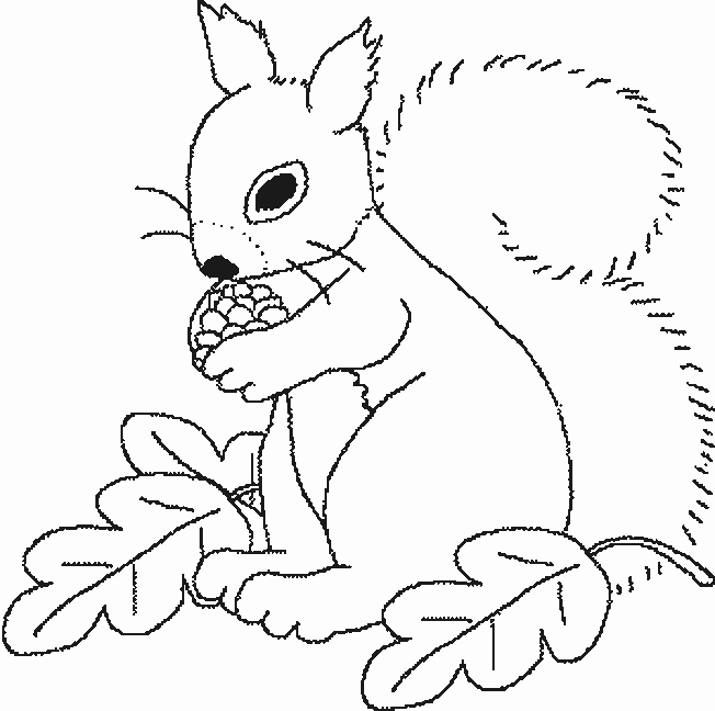 Dessin à colorier: Écureuil (Animaux) #6249 - Coloriages à Imprimer Gratuits
