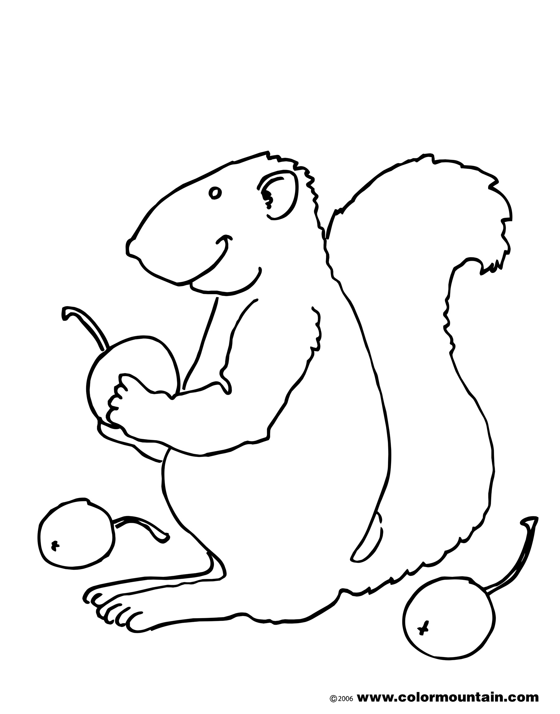 Dessin à colorier: Écureuil (Animaux) #6250 - Coloriages à Imprimer Gratuits