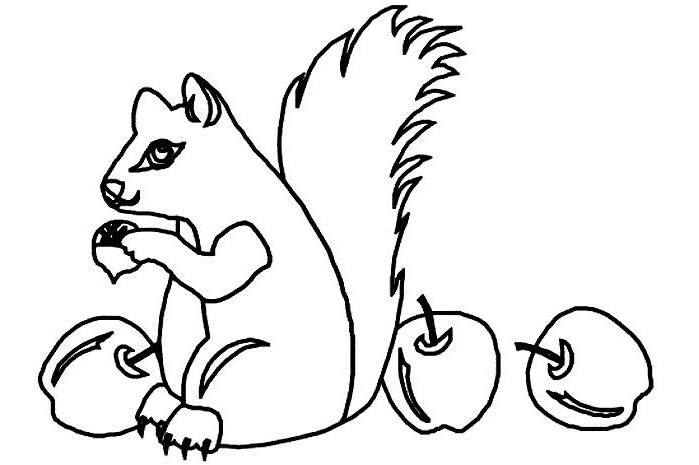 Dessin à colorier: Écureuil (Animaux) #6255 - Coloriages à Imprimer Gratuits